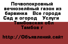 Почвопокровный, вечнозелёный газон из барвинка - Все города Сад и огород » Услуги   . Тамбовская обл.,Тамбов г.